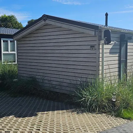 Ostseecamp Luebecker Bucht Seestern *