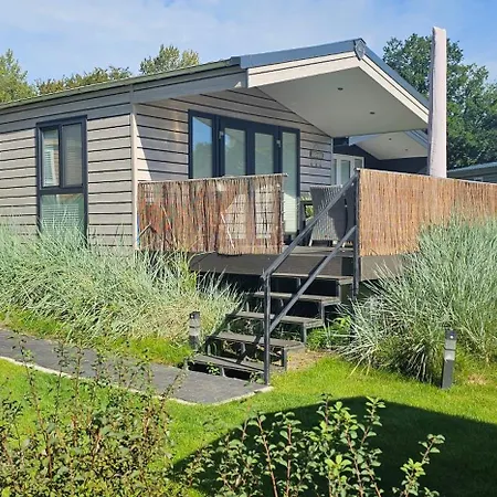Ostseecamp Luebecker Bucht Seestern *